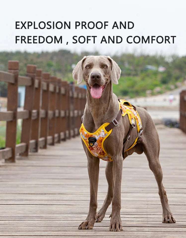 Adjustable Padded Nylon Dog Harness with Reflective Details