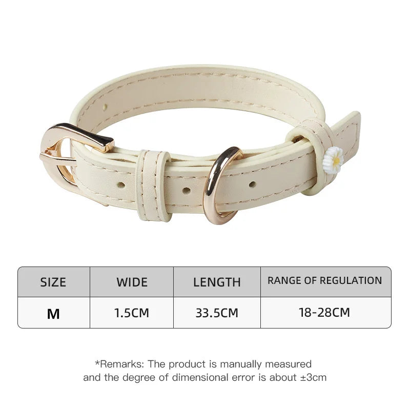 Pastel Daisy Pet Collar with Gold-Tone Buckle