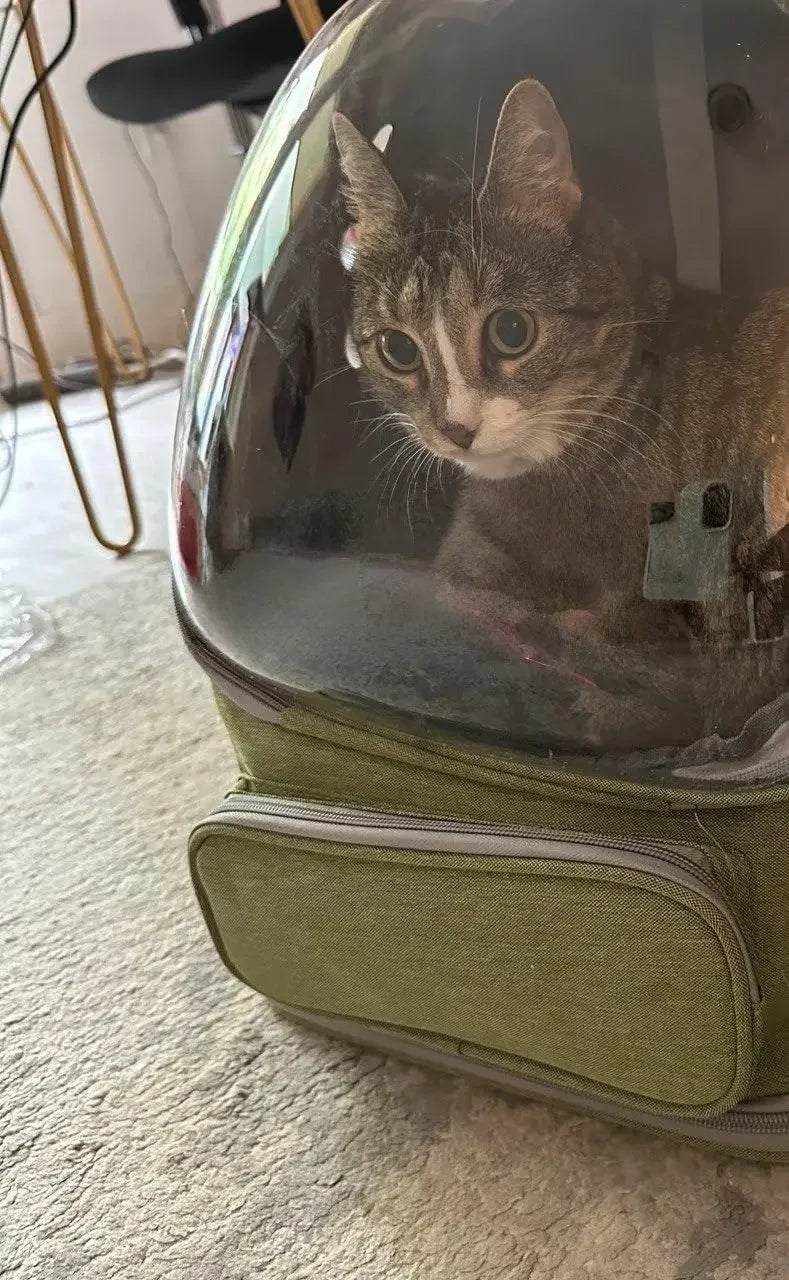 Green Clear-Front Cat Carrier Backpack with Storage Pockets
