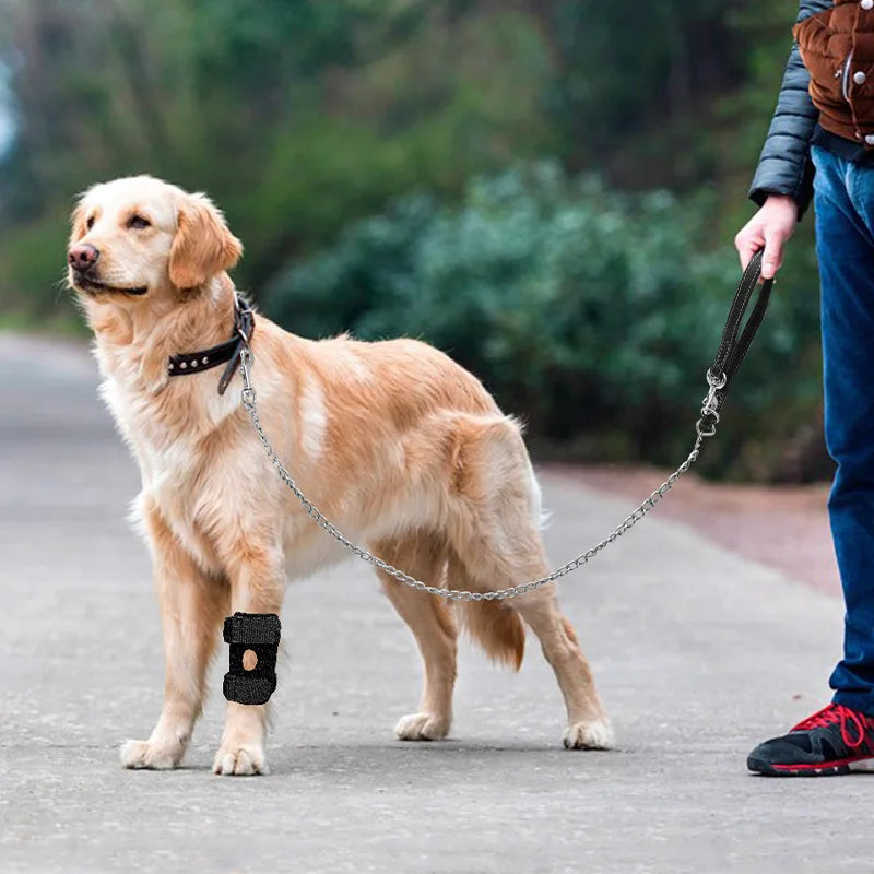 Dog Leg Wraps and Connected Paw Covers, Six Styles