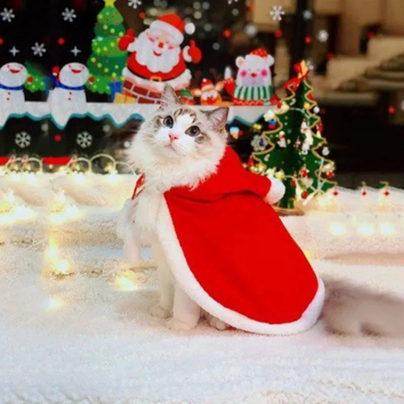 Santa Hooded Pet Cape with Pom-Pom Trim