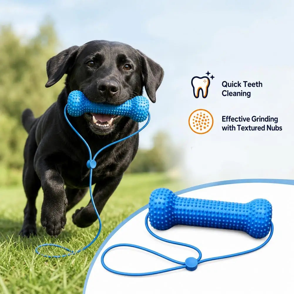 Blue Textured Bone Dog Toy with Play Cord