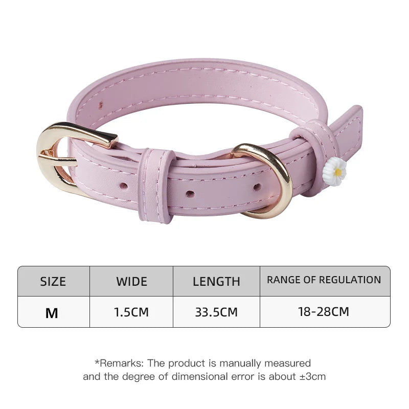 Pastel Daisy Pet Collar with Gold-Tone Buckle