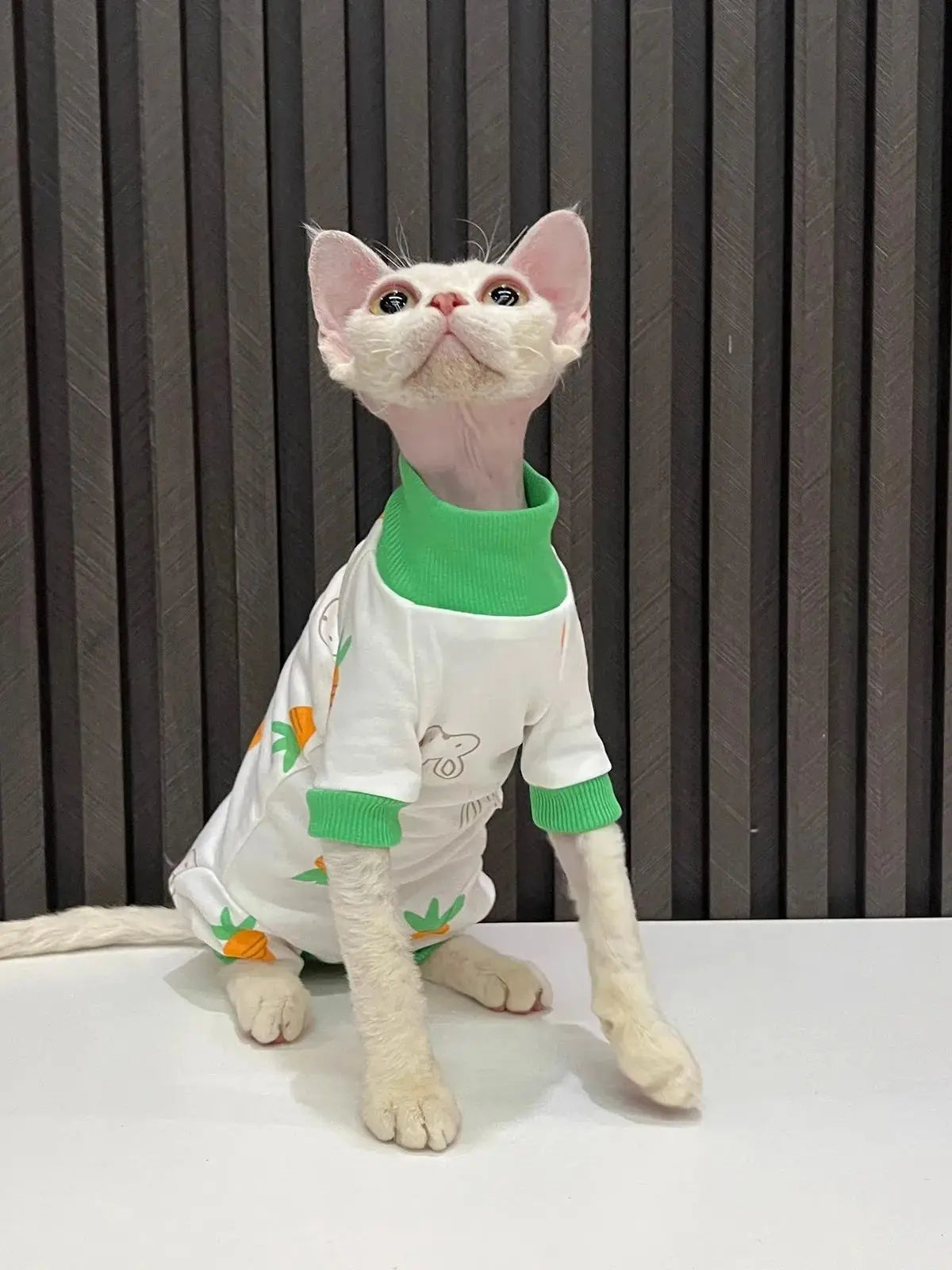 Bunny & Carrot Cat Jumpsuit with Green Trim