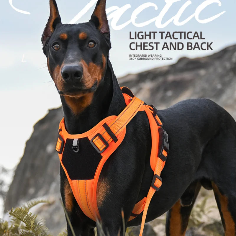 Adjustable Dog Harness with Reflective Trim & Top Handle