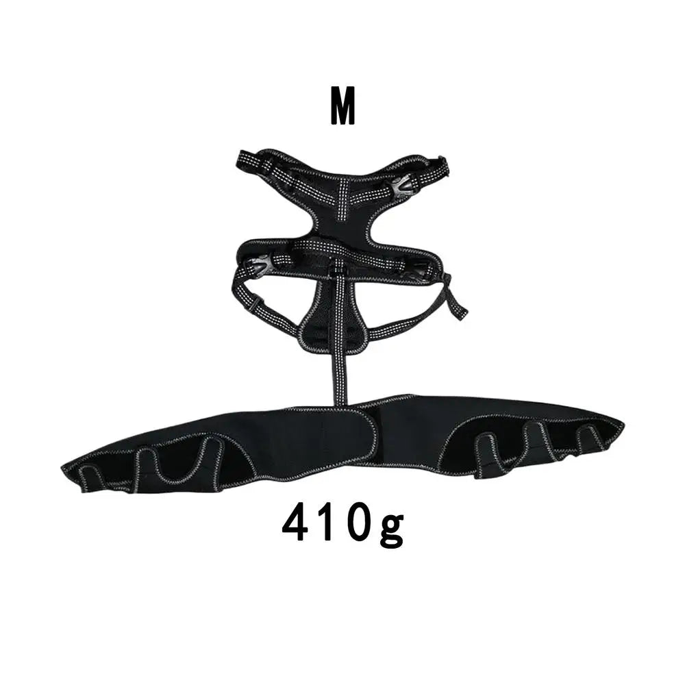 Dog Rear-Leg Wrap with Detachable Chest Harness