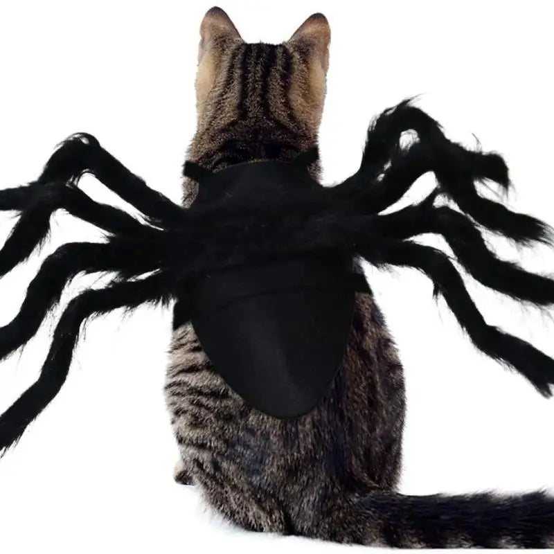 Fuzzy Spider Costume for Cats & Dogs