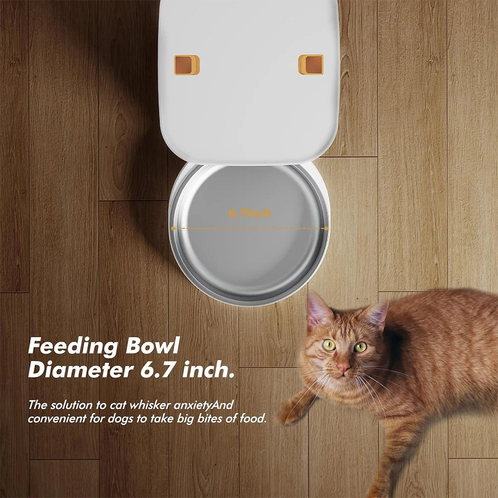 FURPIPI Automatic Pet Feeder with Button Controls, 4L or 8L