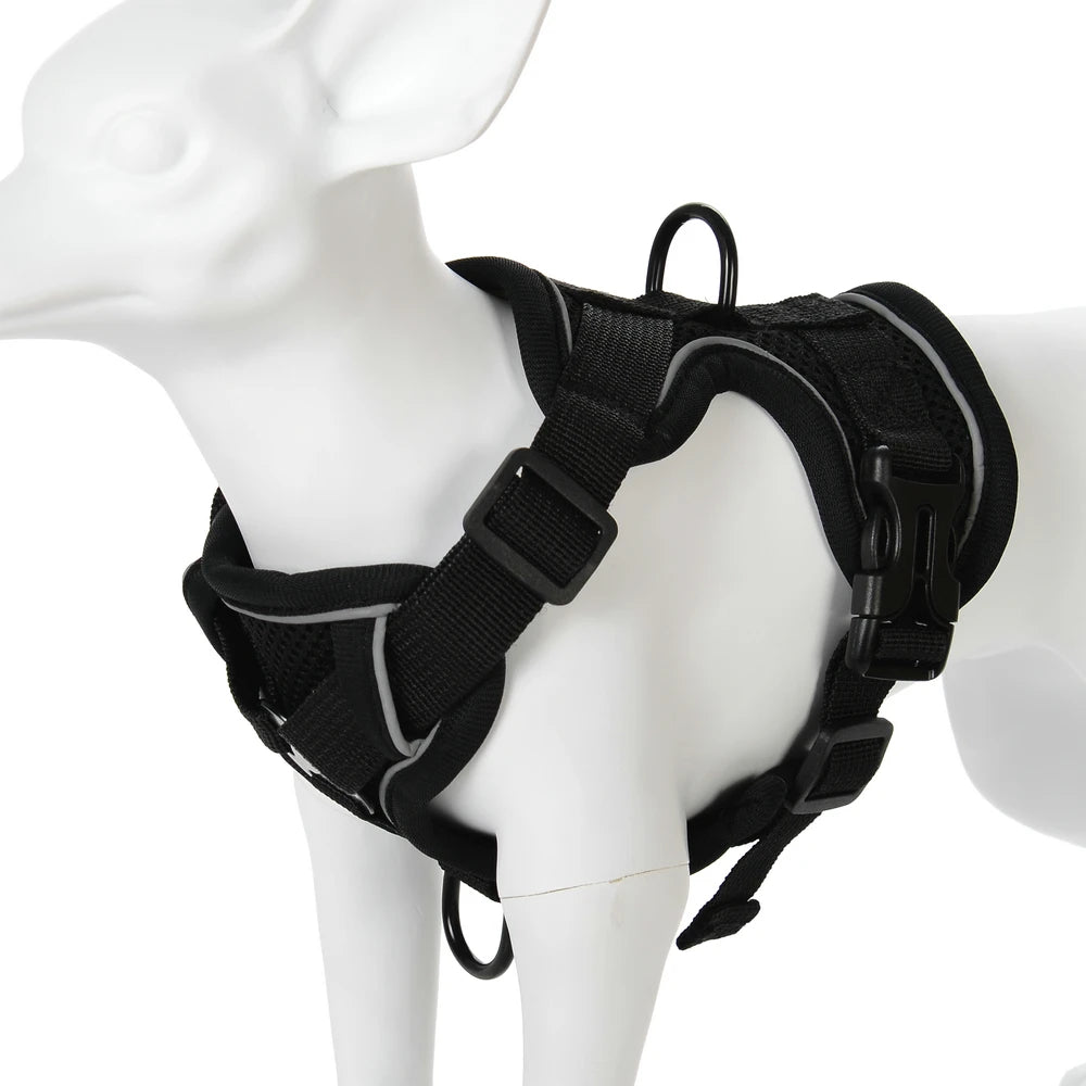Adjustable Mesh Pet Harness & Coordinating Leash Set