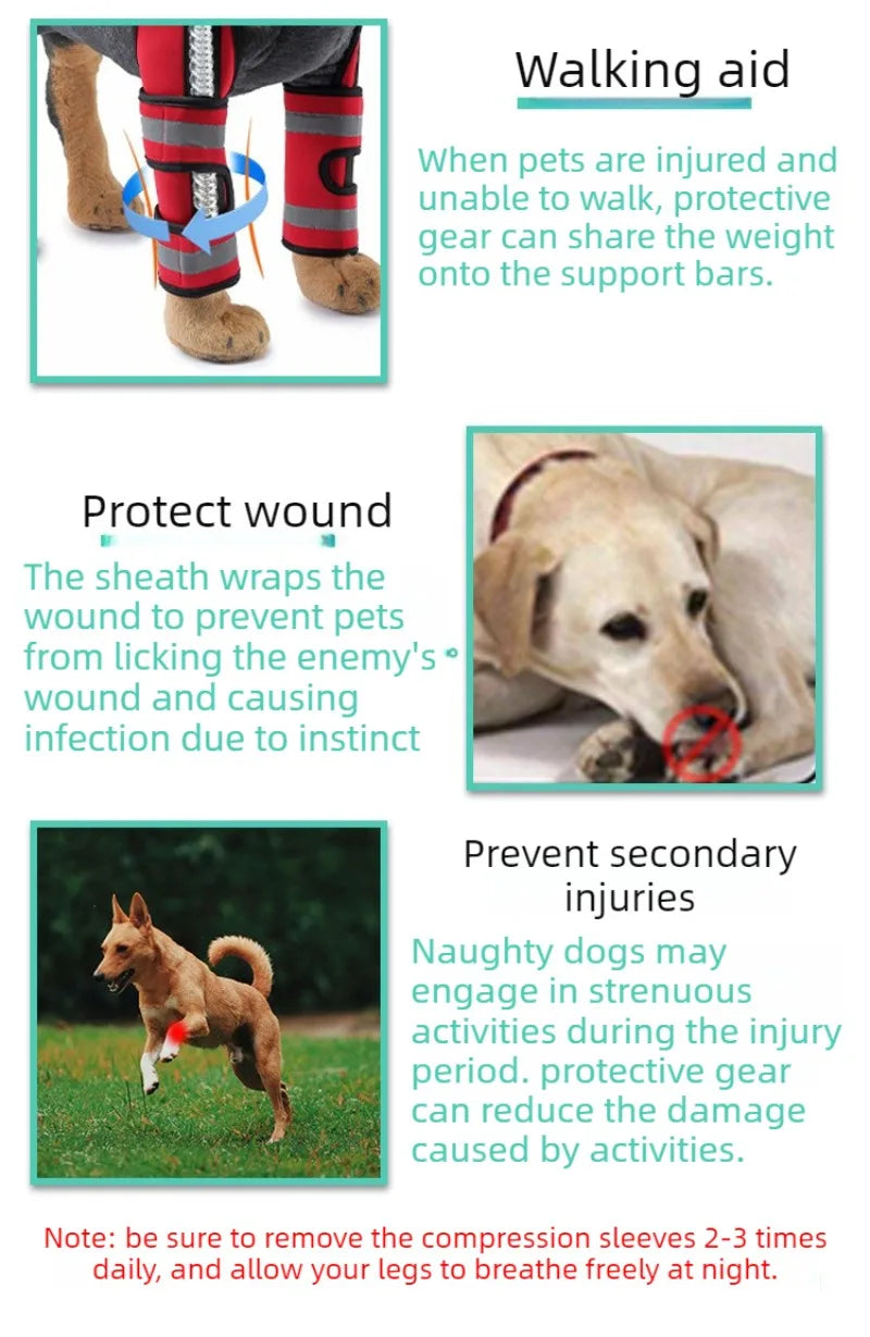 Dog Front-Leg Brace Set with Connecting Straps