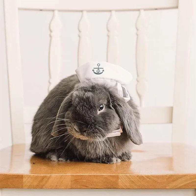 White Sailor Hat & Cloak Pet Costume
