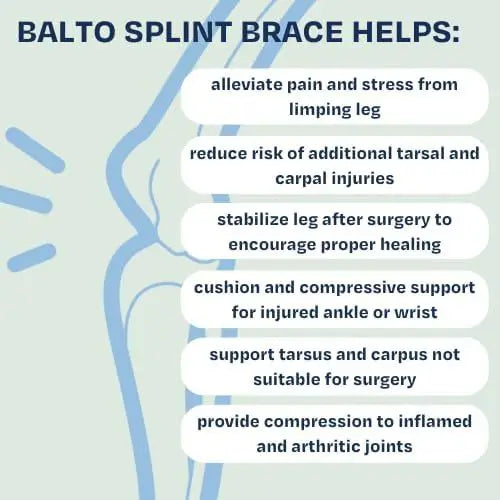 Front-Leg Carpal Splint for Dogs