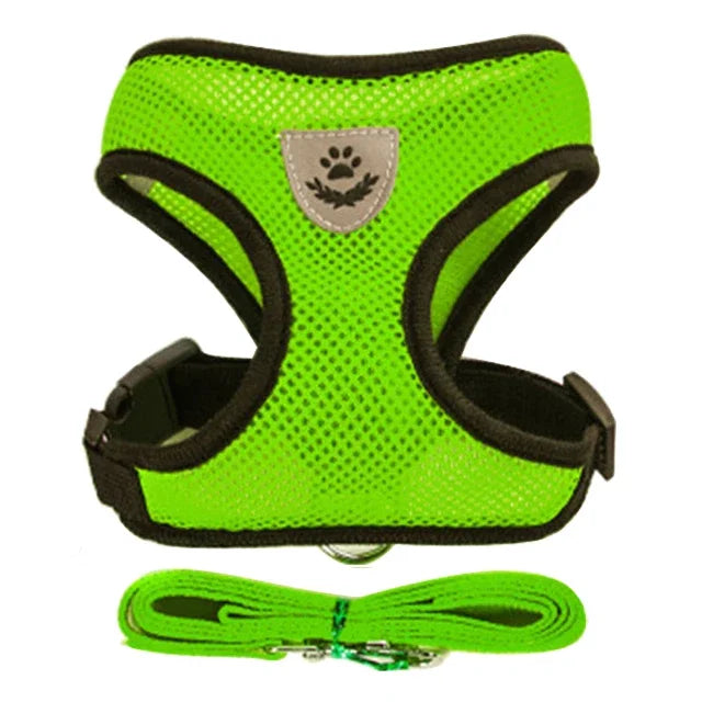 Adjustable Mesh Pet Harness & 120 cm Leash Set