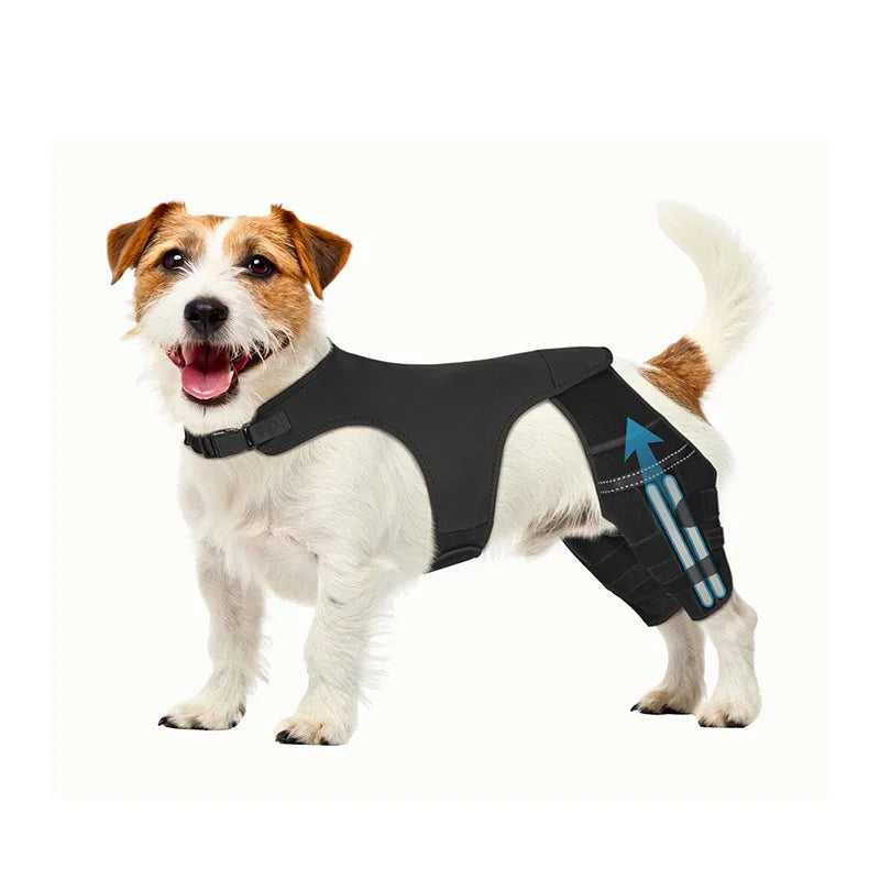 Dog Rear-Leg Brace with Body Strap