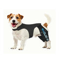 Dog Rear-Leg Brace with Body Strap
