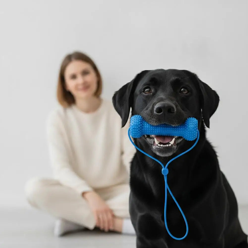 Blue Textured Bone Dog Toy with Play Cord