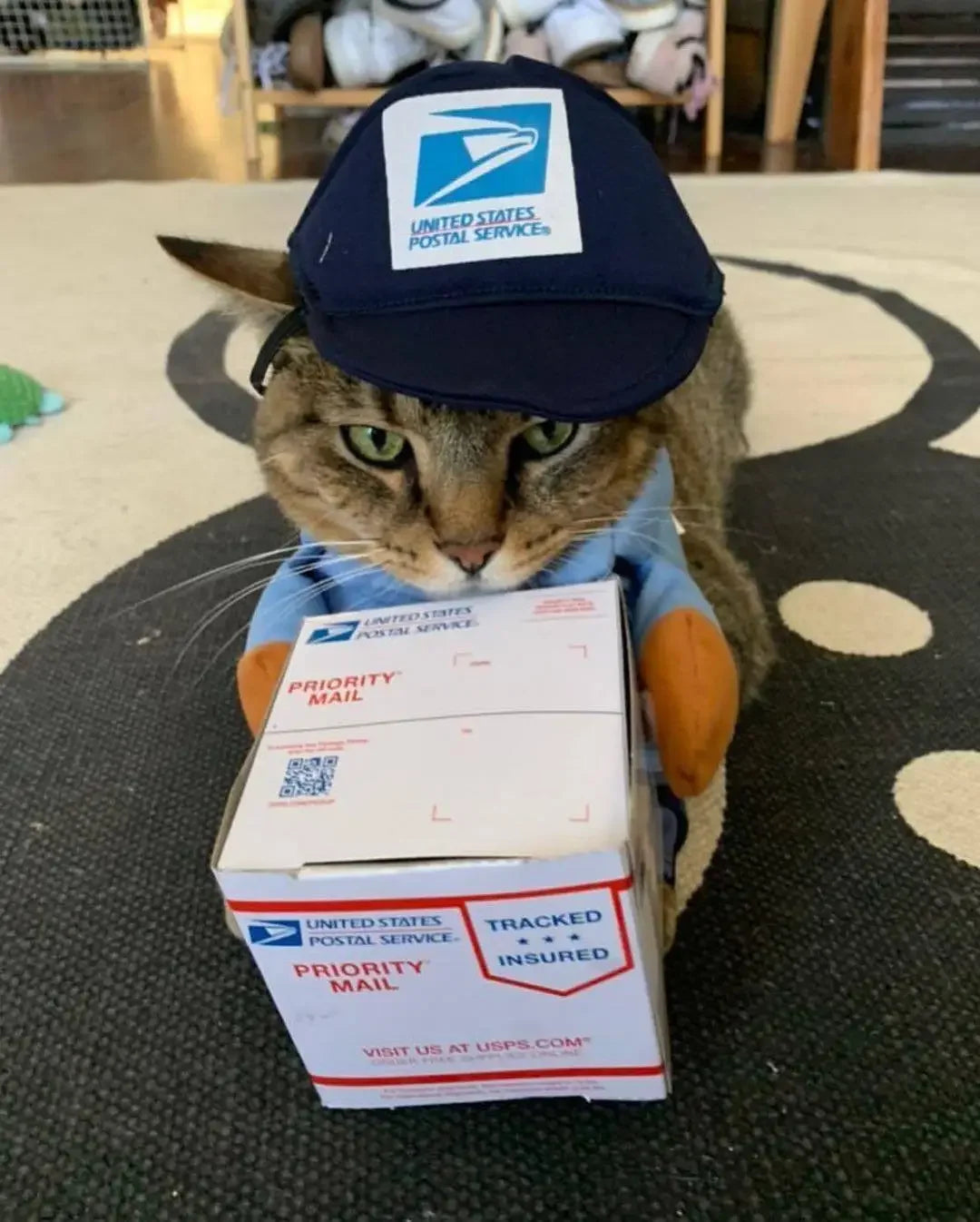 Courier Dress-Up Costume for Dogs & Cats