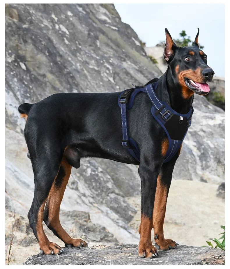 Adjustable Dog Harness with Reflective Trim & Top Handle
