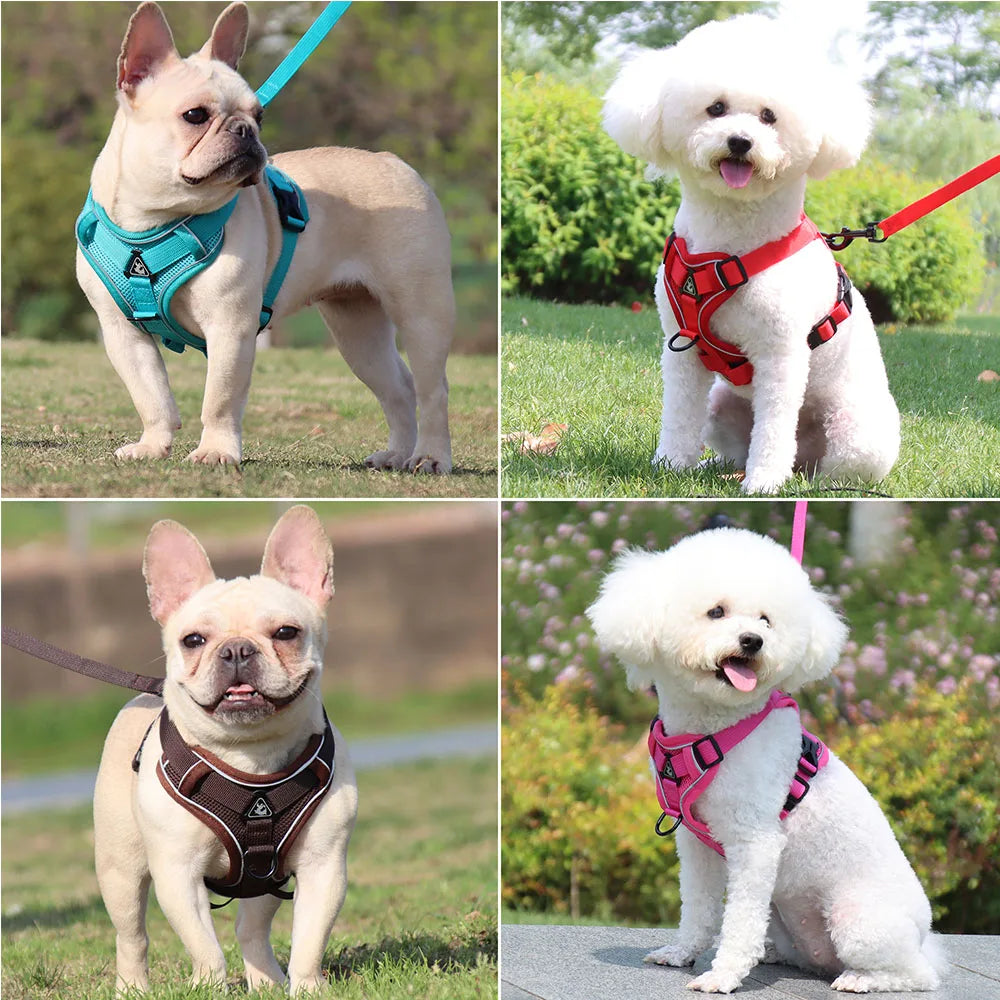 Solid-Color Mesh Pet Harness & 150 cm Leash Set