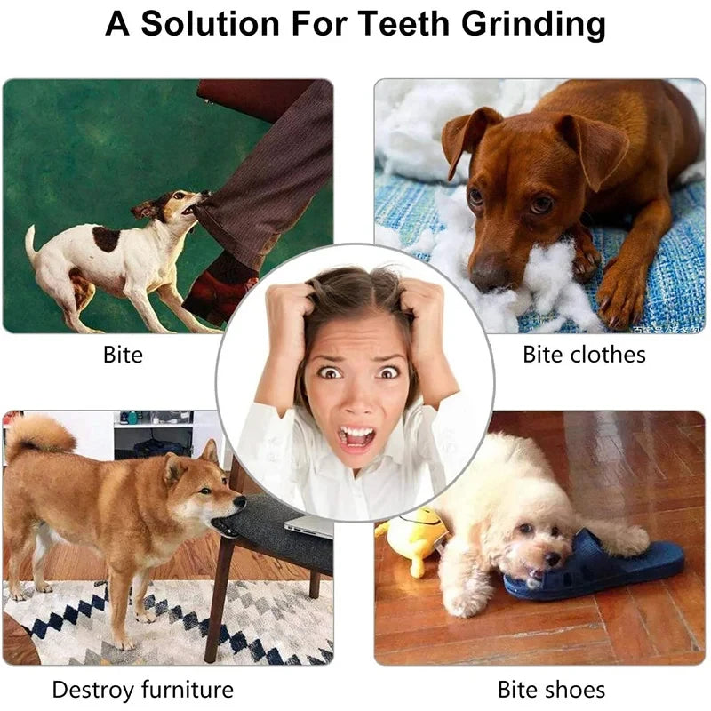 Rubber Treat Ball for Dogs in Three Sizes