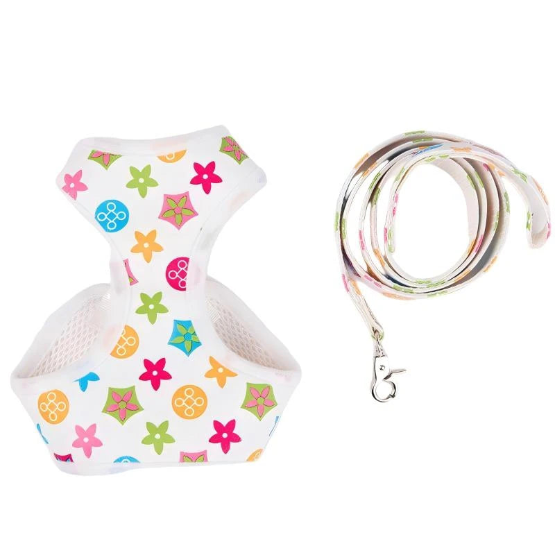 Classic-Pattern Mesh Pet Harness & Leash Set
