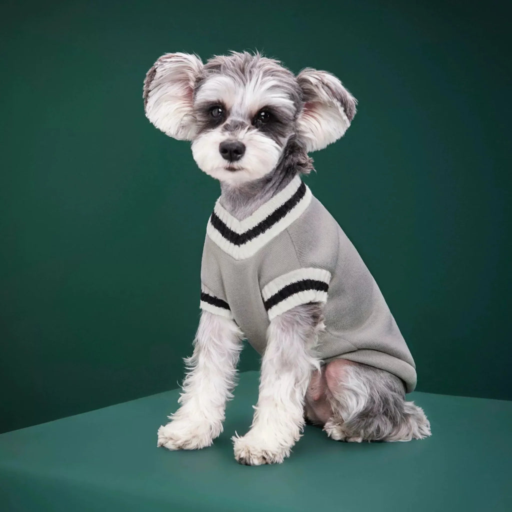 Collegiate Stripe-Trim Pet Sweater