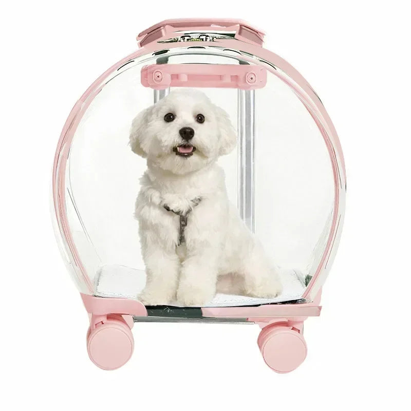 Clear Bubble Rolling Pet Carrier with Telescoping Handle
