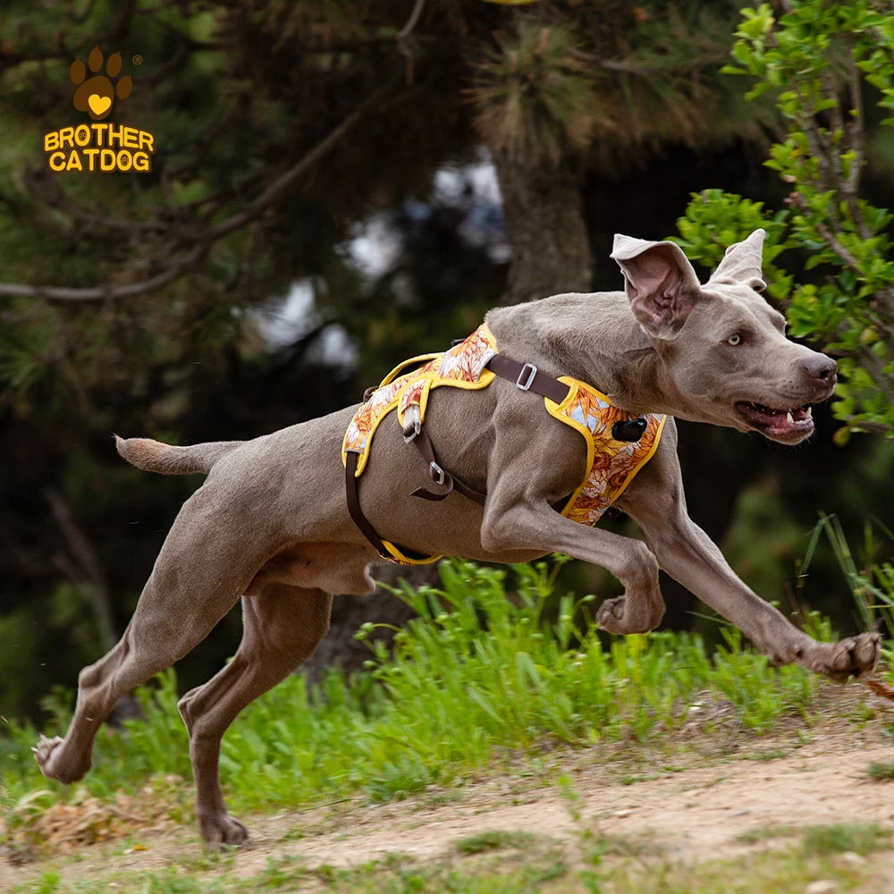 Adjustable Padded Nylon Dog Harness with Reflective Details