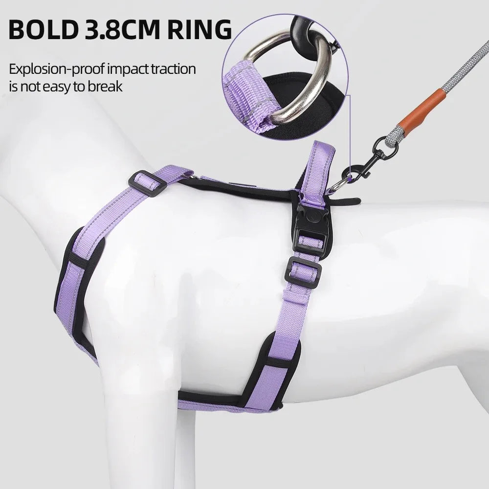 Adjustable Padded Dog Harness with Reflective Stitching