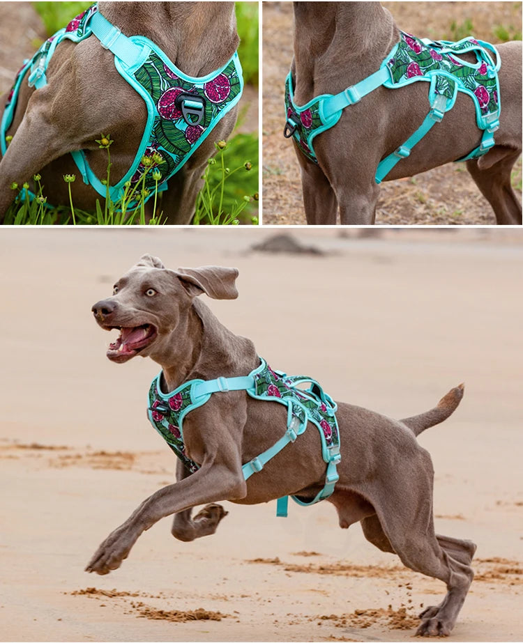 Adjustable Padded Nylon Dog Harness with Reflective Details