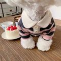 Striped Pet Polo Shirt with Contrast Collar