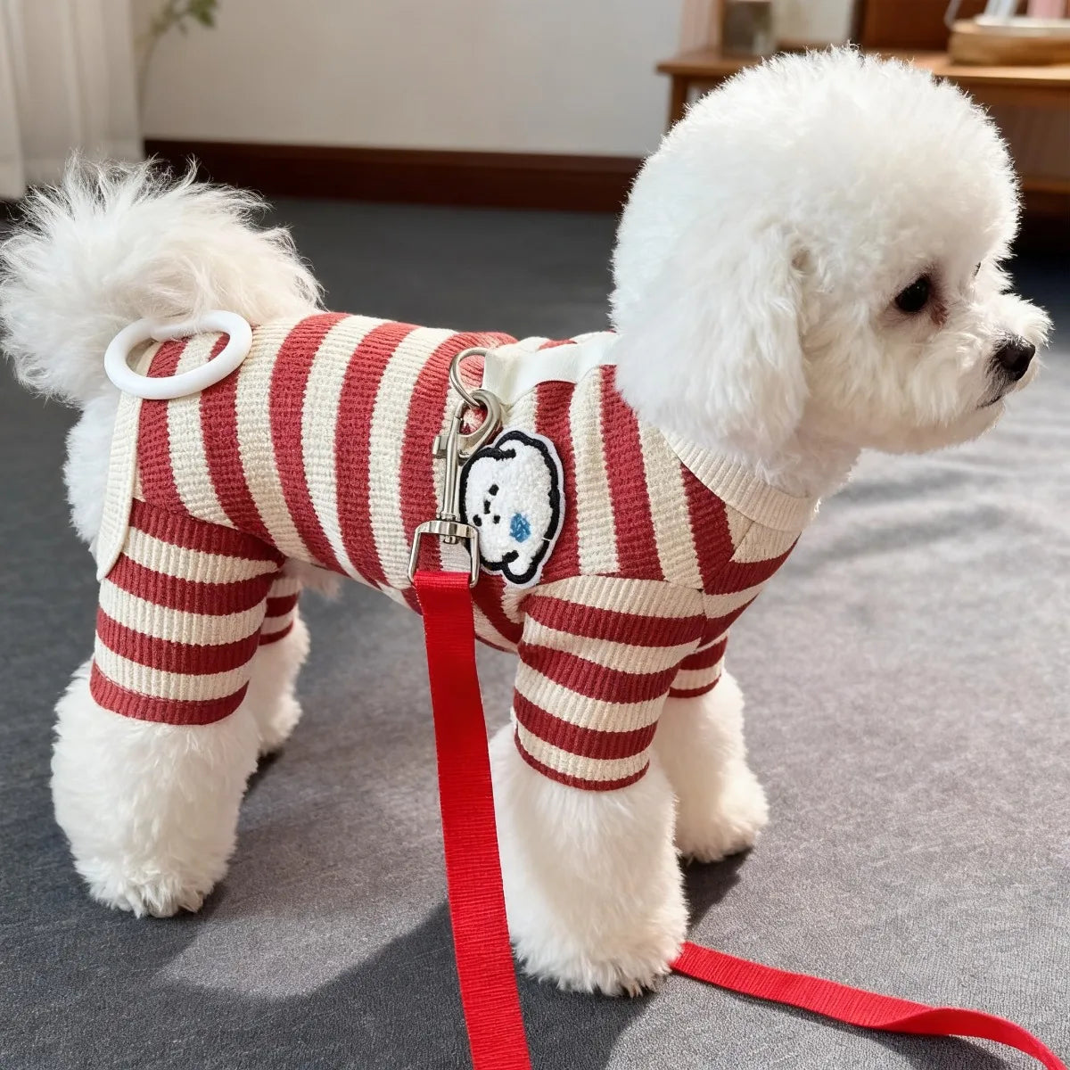Red Striped Four-Leg Pet Onesie with Bear Patch