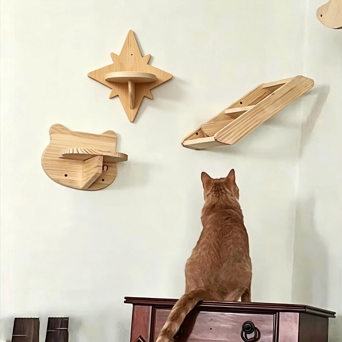 Wall-Mounted Cat Shelves, Steps & Lounging Options
