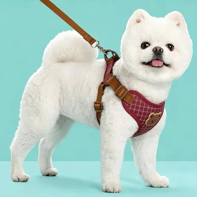 Bear-Detail Pet Harness & Leash Set with Mesh Lining