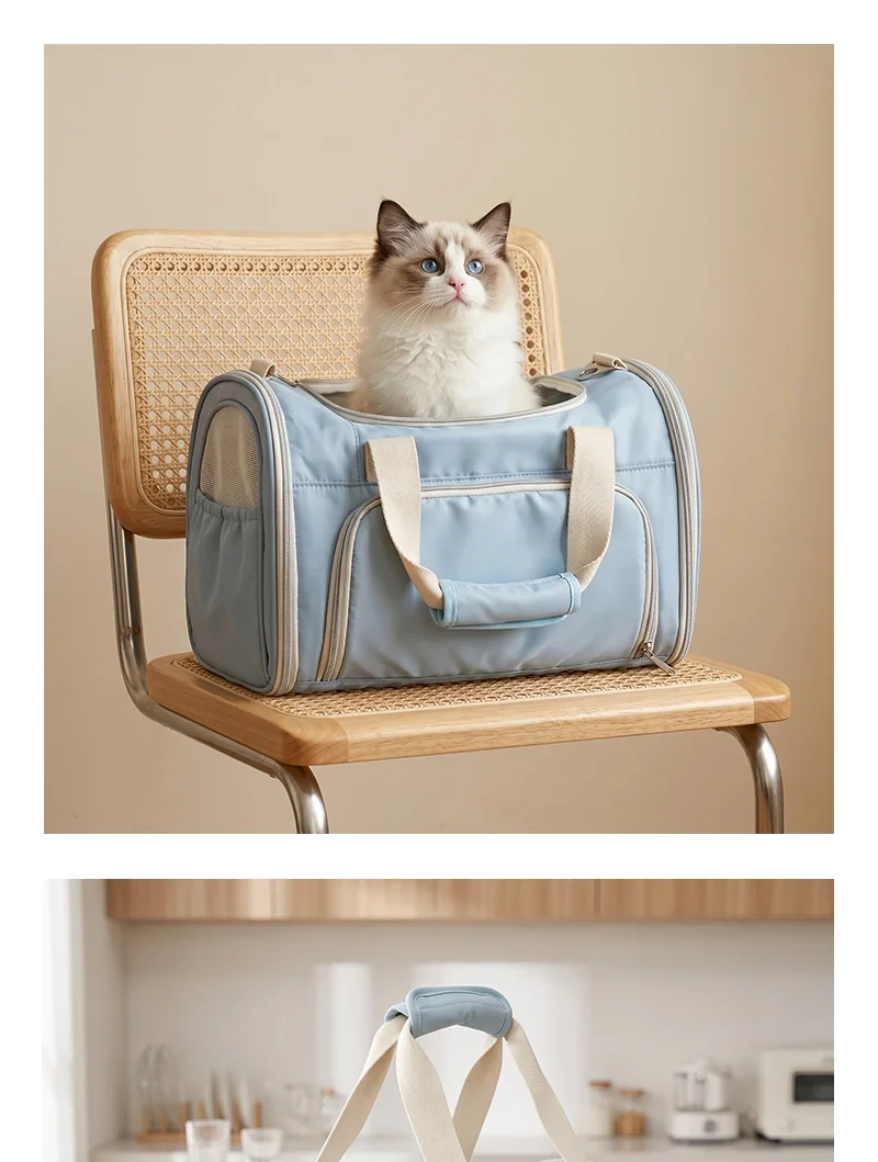 Blue Mesh Travel Carrier for Cats & Small Dogs