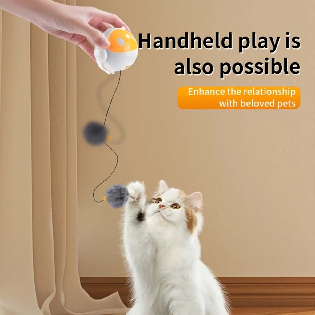 Automatic Up-and-Down Cat Toy with Table Clamp