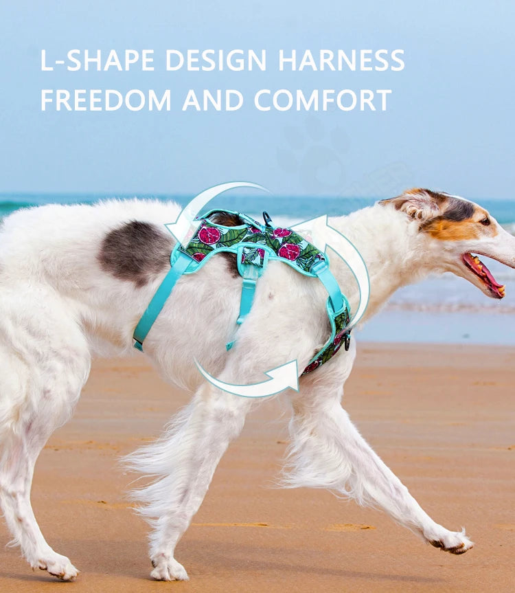 Adjustable Padded Nylon Dog Harness with Reflective Details