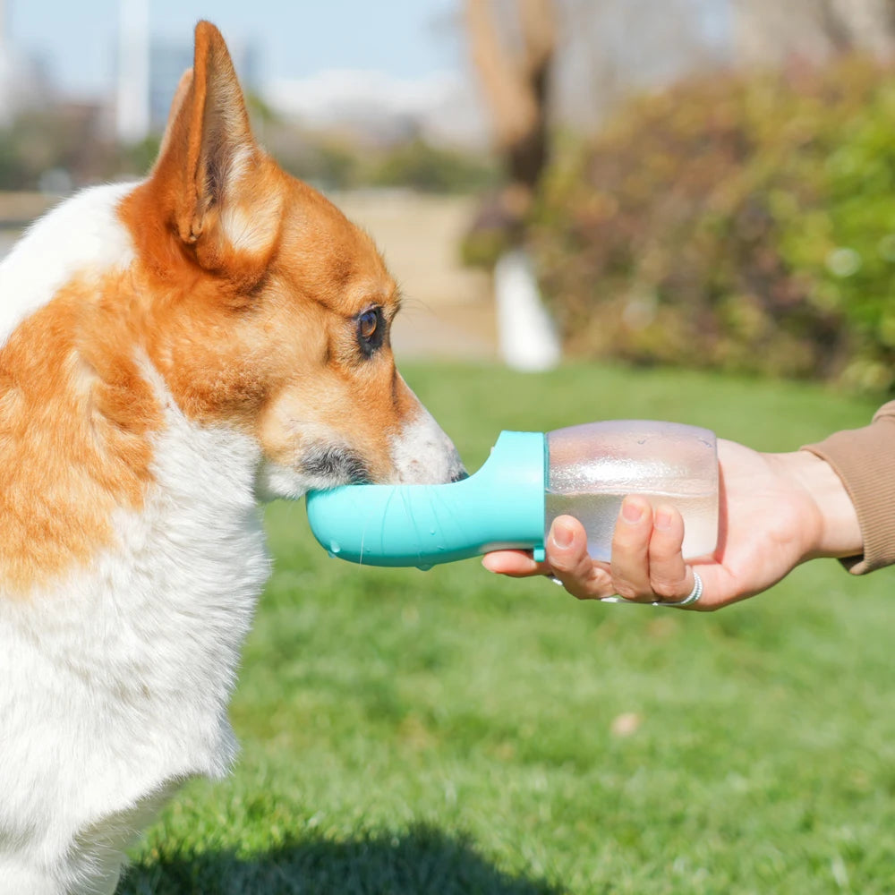 300 ml Portable Pet Water Bottle with Carry Strap