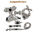 Printed Dog Harness & Coordinating Walking Accessory Set