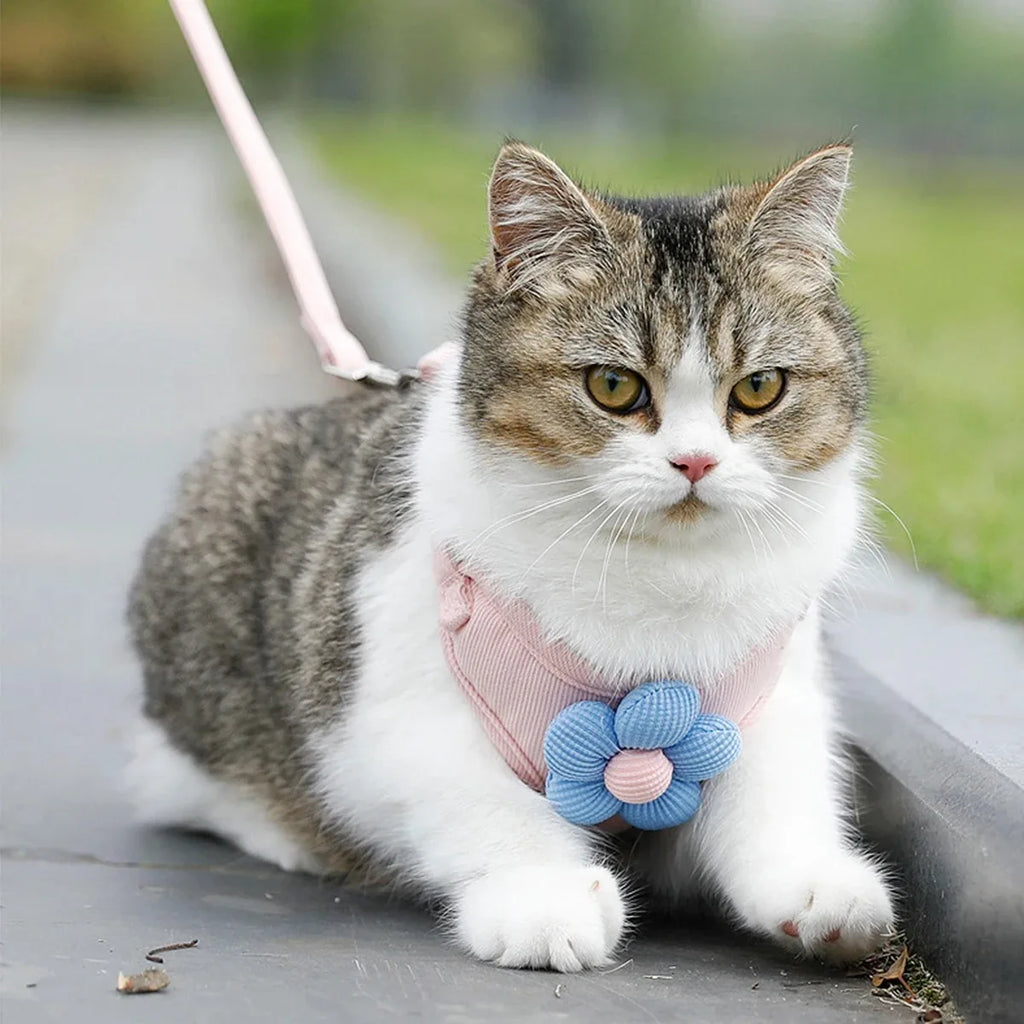 Flower-Detail Pet Harness & Matching Leash Set