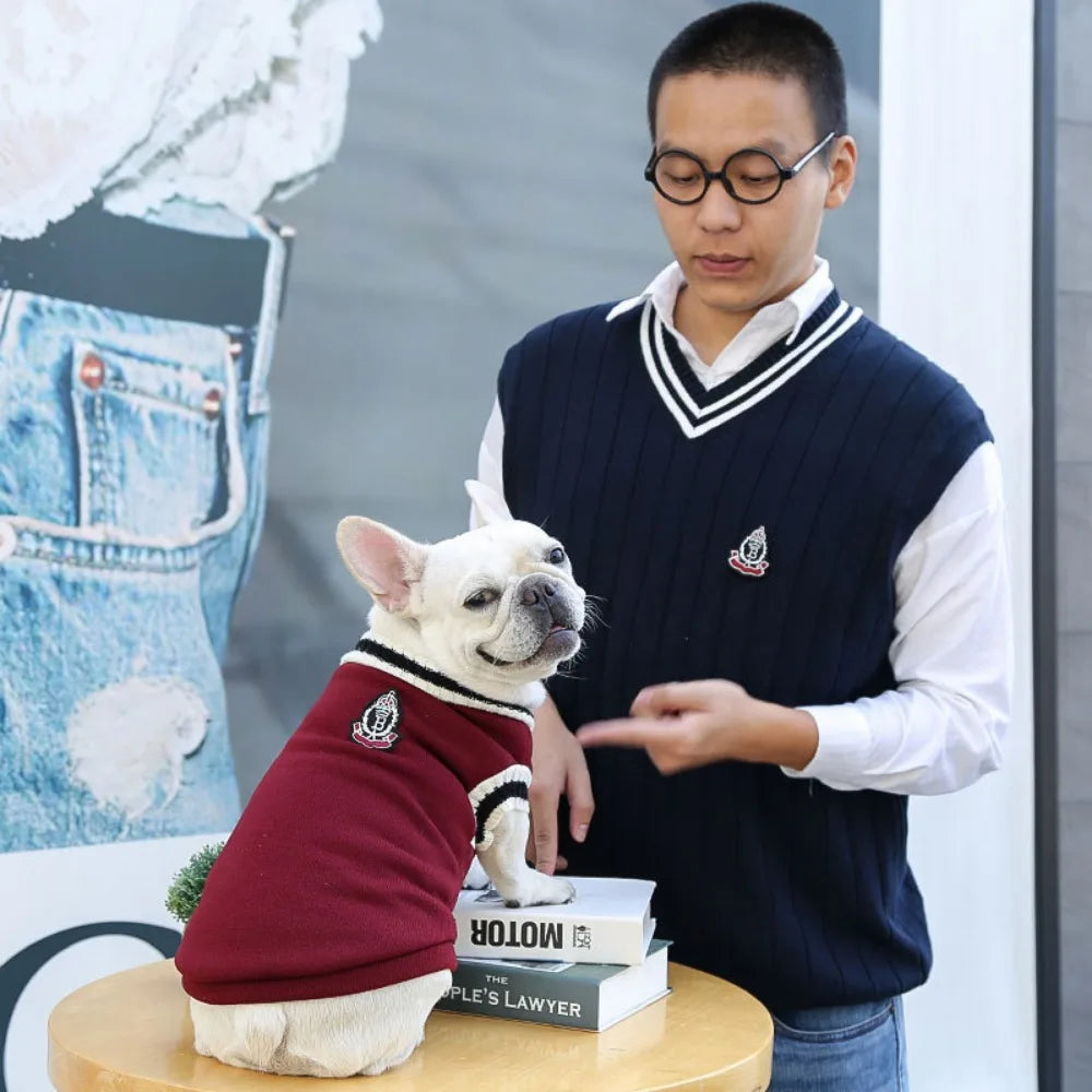 Varsity-Style V-Neck Pet Sweater
