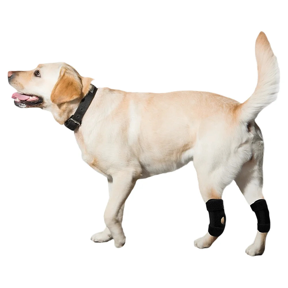 Adjustable Dog Hock Wrap in Black, Single
