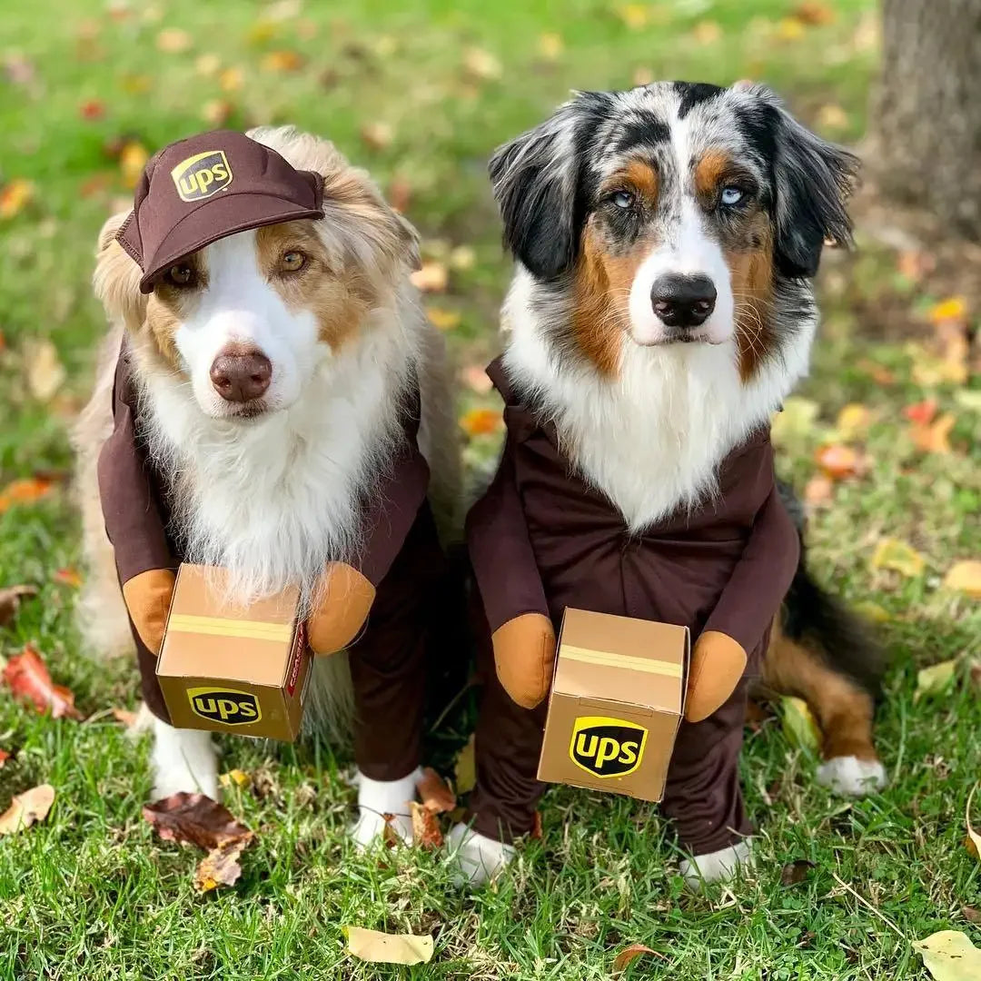 Courier Dress-Up Costume for Dogs & Cats