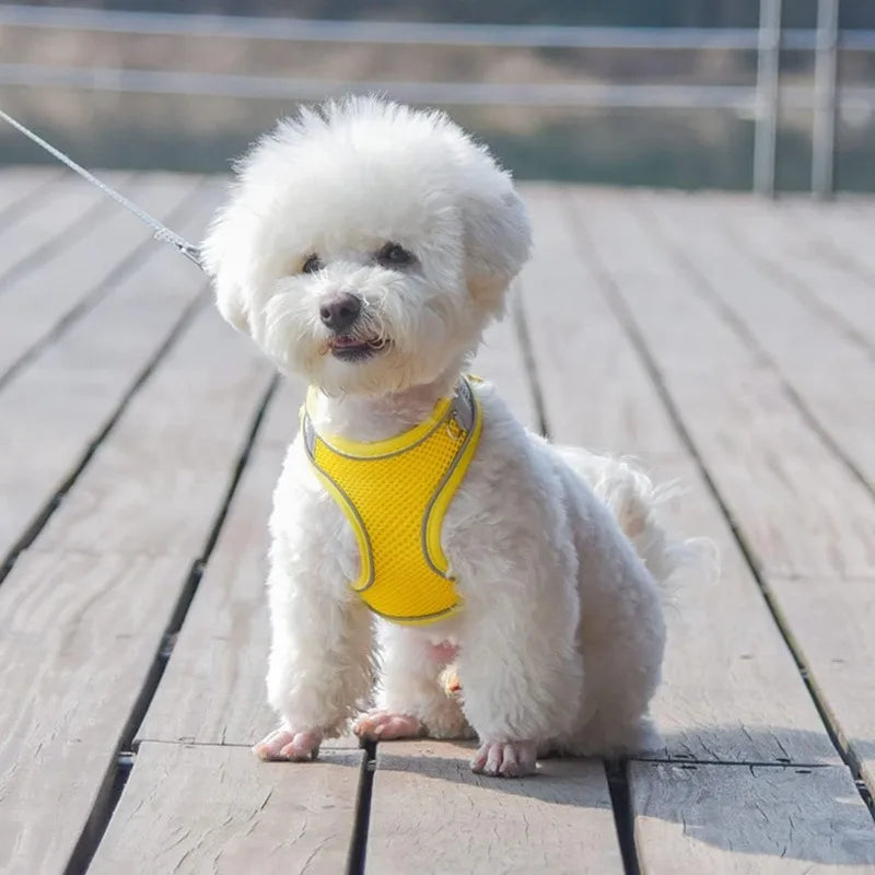 Reflective-Trim Pet Vest Harness & 1.5 m Leash Set