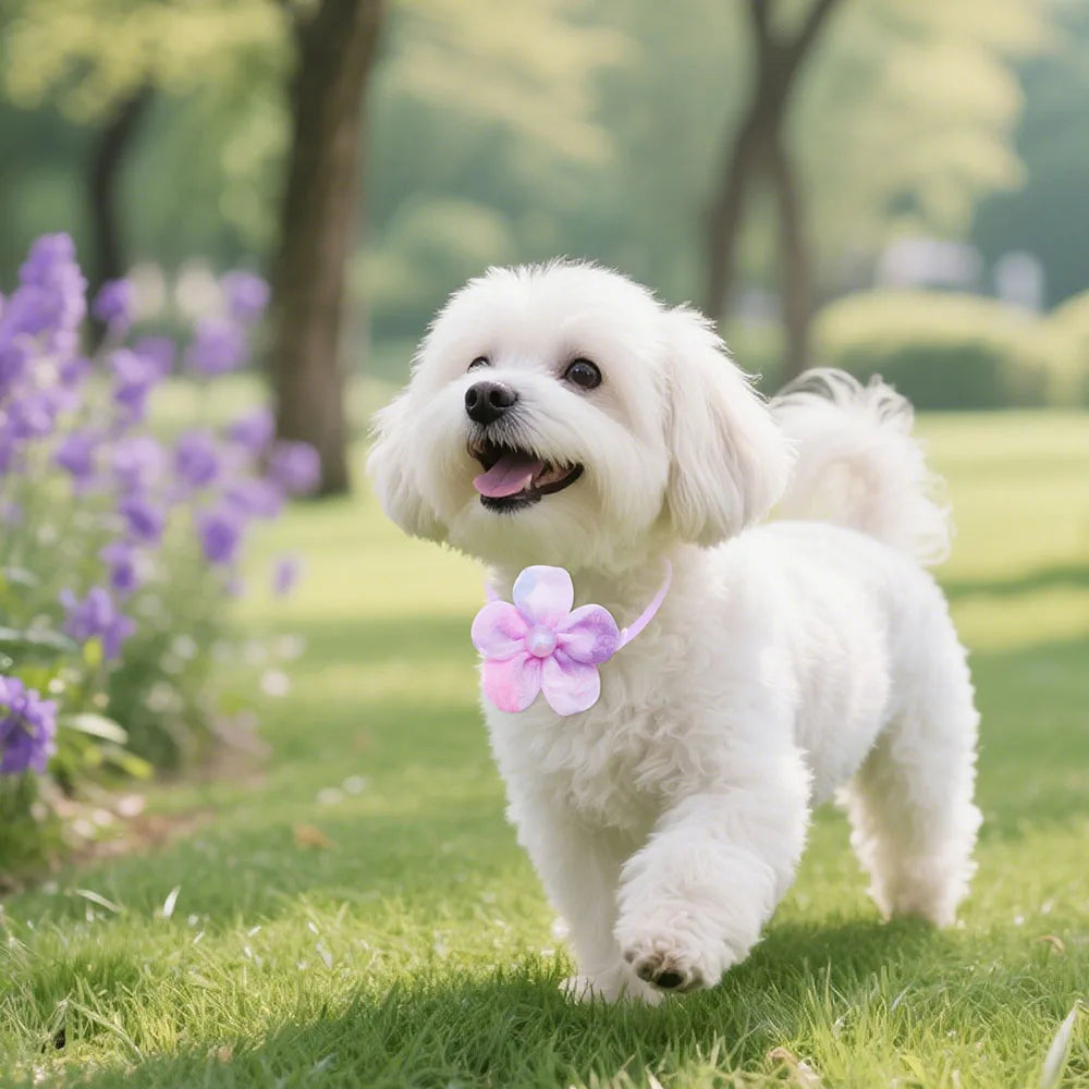 Pastel Pet Bow & Flower Neck Accessories, 5 or 10 Pieces