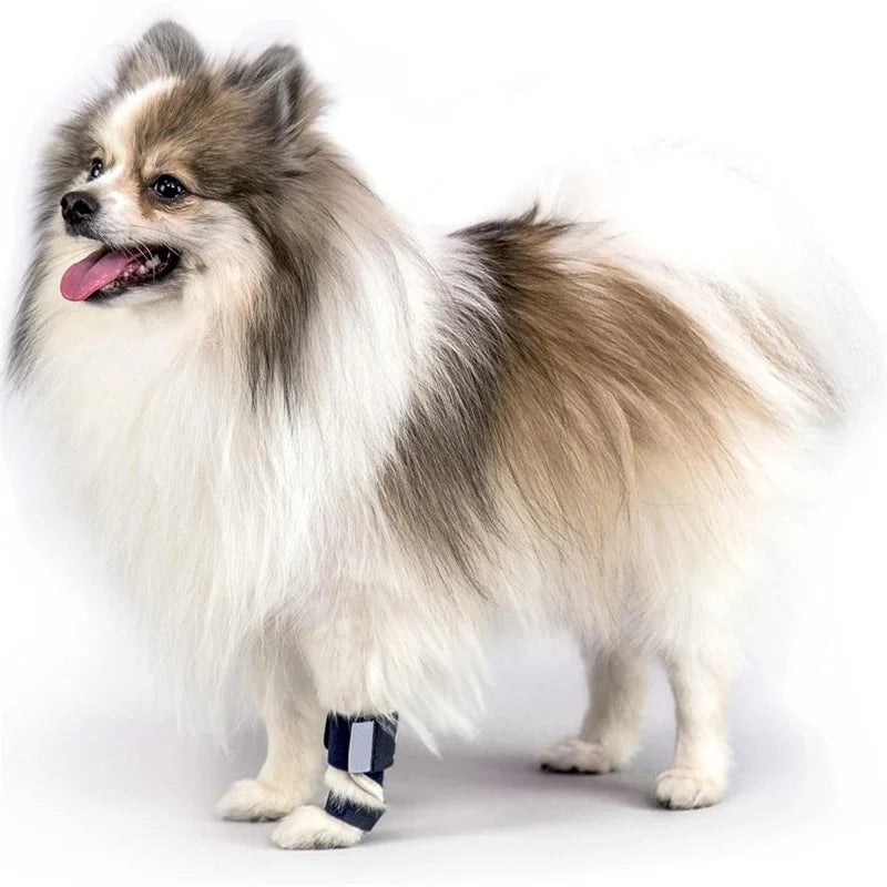 Front-Leg Carpal Splint for Dogs