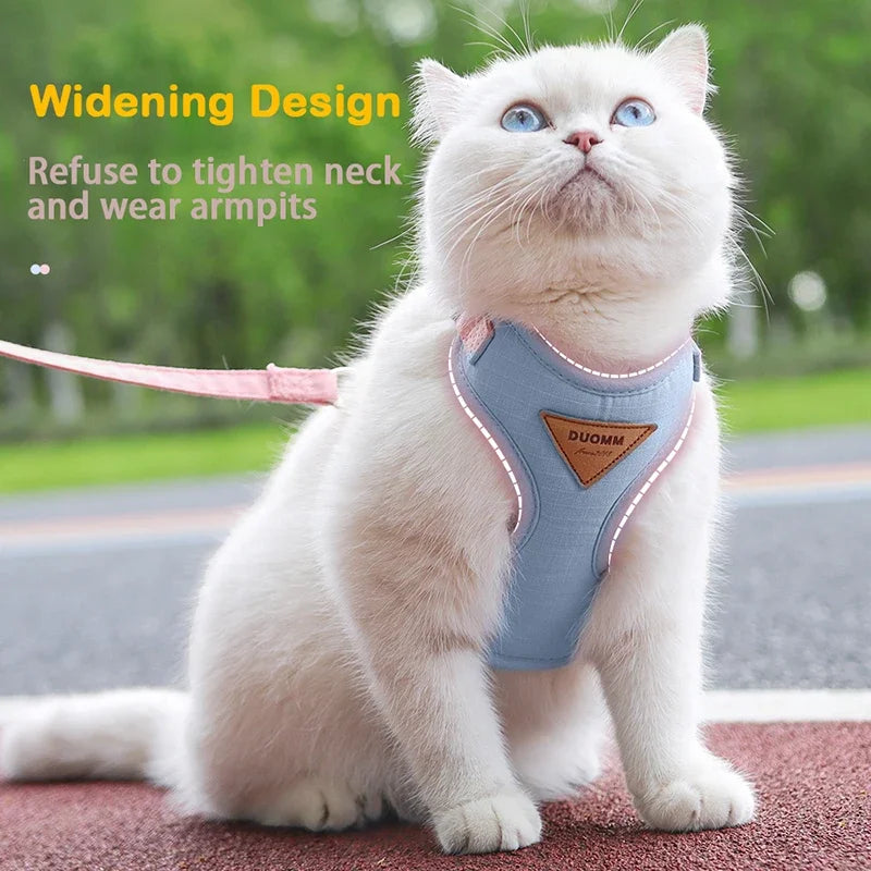 Colorblock Pet Harness & Coordinating Leash Set
