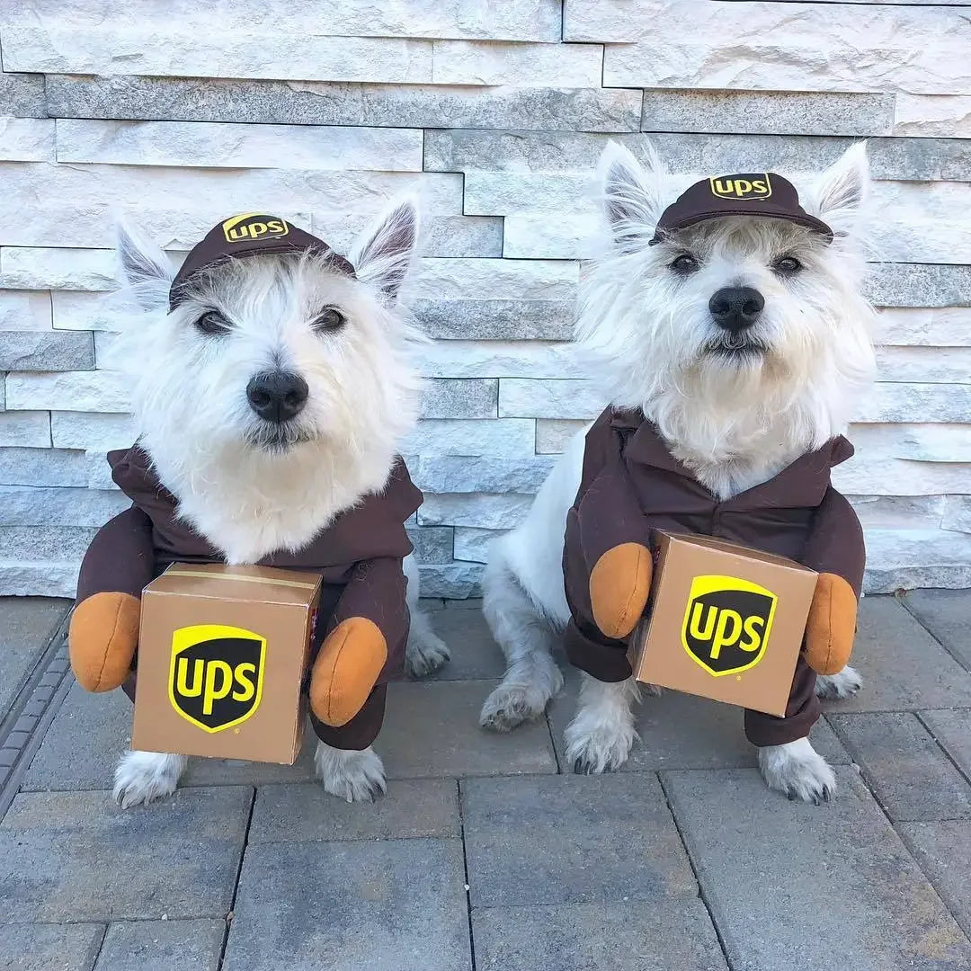 Courier Dress-Up Costume for Dogs & Cats