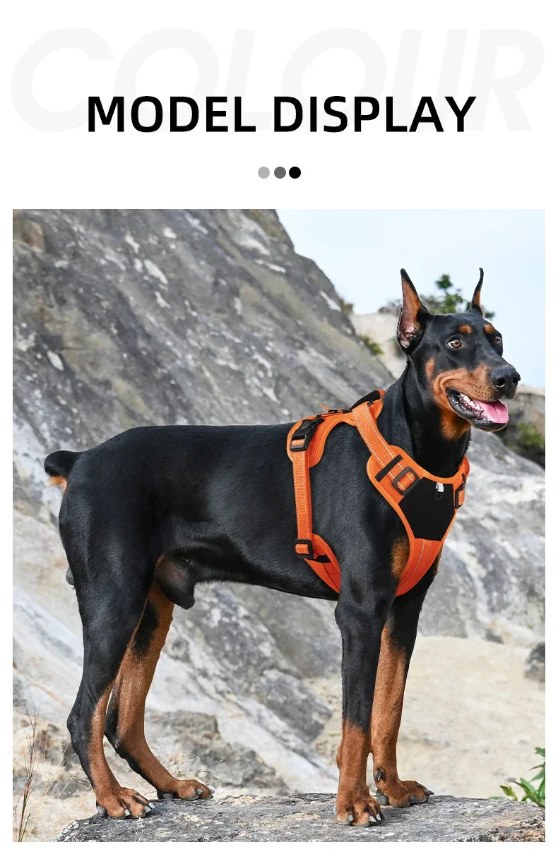 Adjustable Dog Harness with Reflective Trim & Top Handle