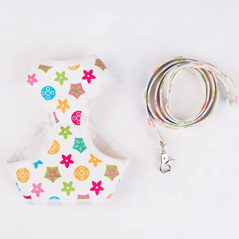 Classic-Pattern Mesh Pet Harness & Leash Set
